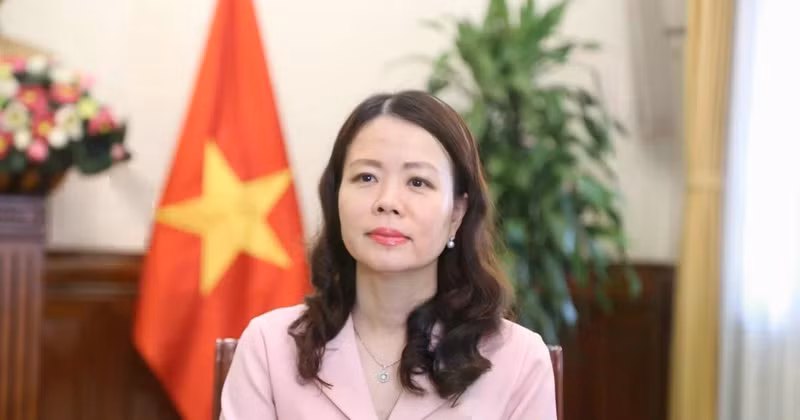 Deputy Minister of Foreign Affairs Nguyen Minh Hang (Photo: VNA)