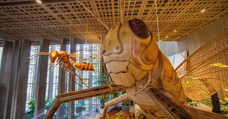 The “Soul of Bamboo from Hoi An” exhibition opens up a vibrant world of bamboo installation art, harmoniously combining the pieces with lush green miniature landscapes and contemporary architectural lighting at the Da Nang Museum.