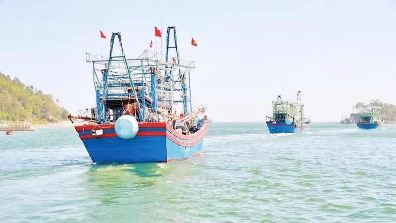 More than 80,300 fishing vessels are currently registered nationwide, with their information updated in the national fisheries database. (Illustrative photo: TRAN TRUNG HIEU)