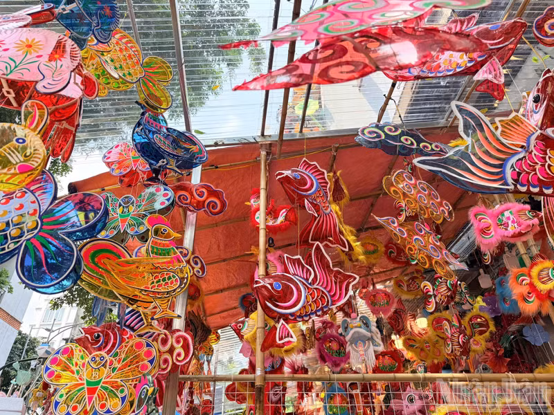 Each shop displays a wide variety of traditional lanterns in different shapes, including lanterns, rotating lanterns, and carp-shaped lanterns.