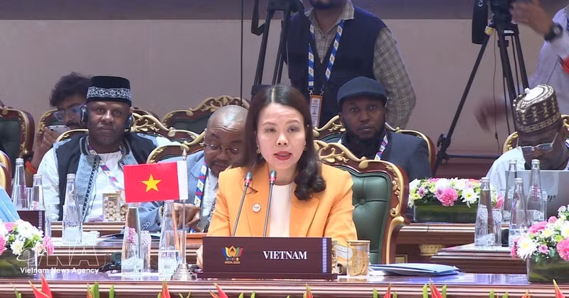 Deputy Minister of Foreign Affairs Nguyen Minh Hang speaks at a discussion session on reforming multilateral systems and global governance, held on May 15, 2026, as part of the expanded BRICS Foreign Ministers’ Meeting in India. (Photo: VNA)