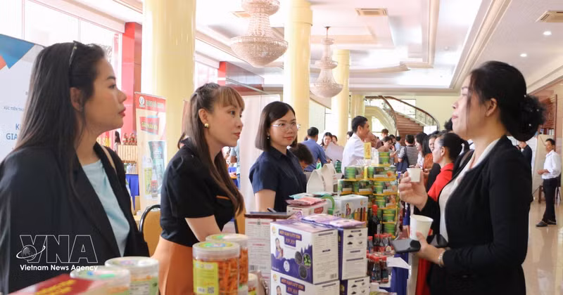 Visitors explore southern Vietnam's products (Photo: VNA)