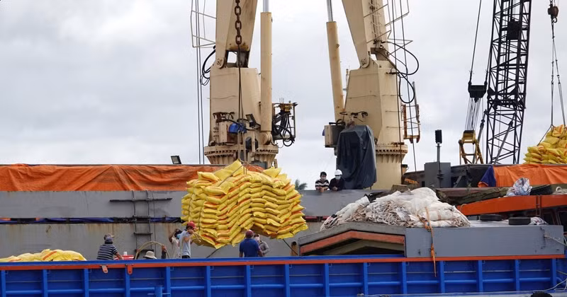 Rice is transported at a company’s port in Ho Chi Minh City. (Photo: DUC AN)