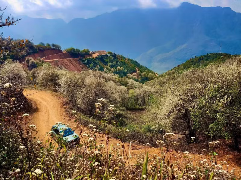 On both sides of the road leading to Nam Nghep Village (Ngoc Chien Commune, Son La), hundreds of ancient son tra trees line the way. Between February and March, their blossoms blanket the sky in white, turning the route into an ideal spot for visitors. (Photo: Phuong PK)