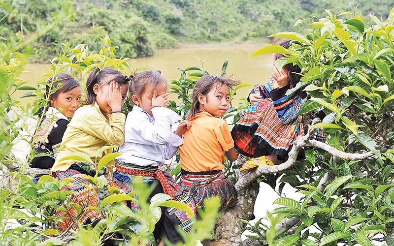 The database on children is also an important component of the National Database on Social Security. (Illustrative photo: Dang Khoa)