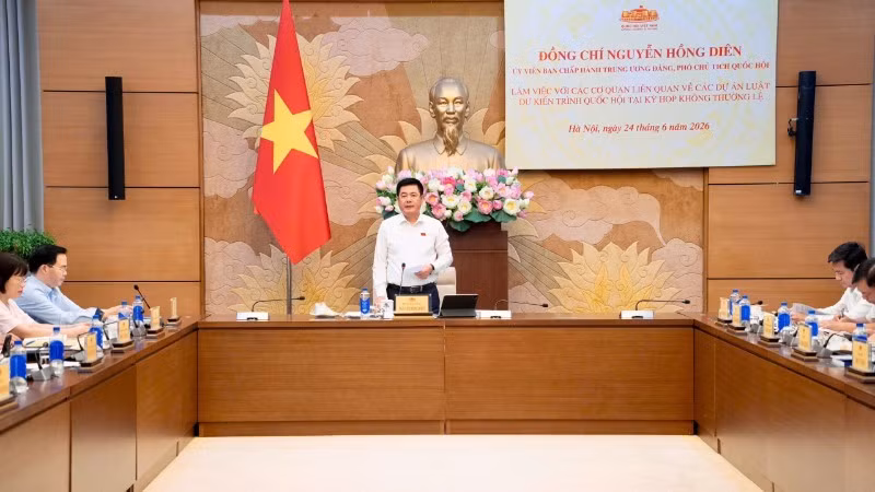 National Assembly Vice Chairman Nguyen Hong Dien chairs the working session.