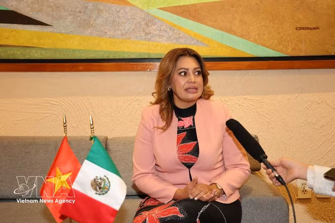 Ana Karina Rojo Pimentel, a congresswoman from the Labour Party (PT) of Mexico, Chairwoman of the Mexican Chamber of Deputies’ Welfare Committee, and President of the Mexico - Viet Nam Parliamentary Friendship Group (Photo: VNA)