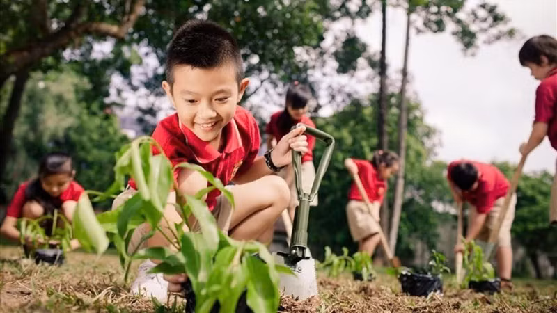 If each individual simply becomes aware of actions such as saving energy and reducing plastic waste, it can contribute to a greener and more sustainable way of life.