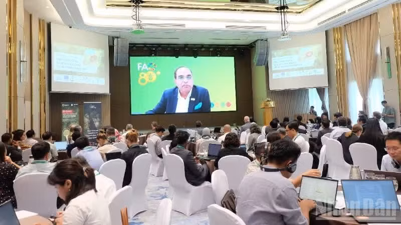 An overview of the event.