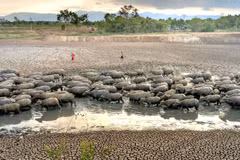 Prolonged dry conditions will deplete water resources. (Photo: Quang Nguyen)