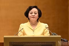 Deputy Prime Minister Pham Thi Thanh Tra. (Photo: TRAN HAI)