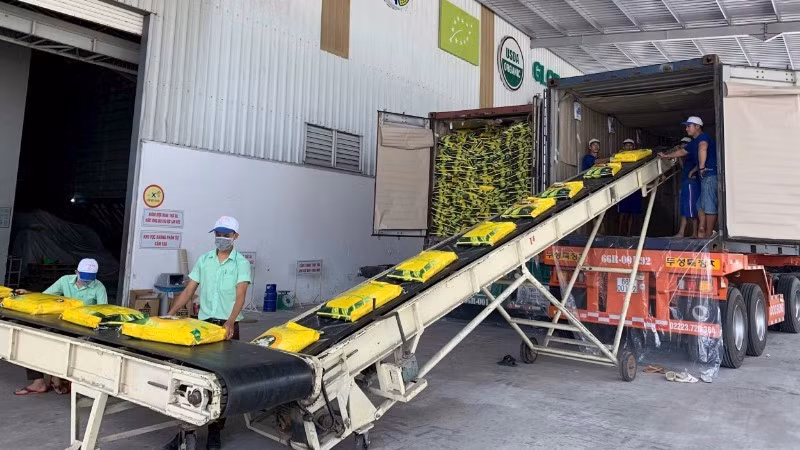 Export rice packaging line of Trung An High-Tech Agriculture Joint Stock Company, Can Tho City. (Photo: MINH ANH)
