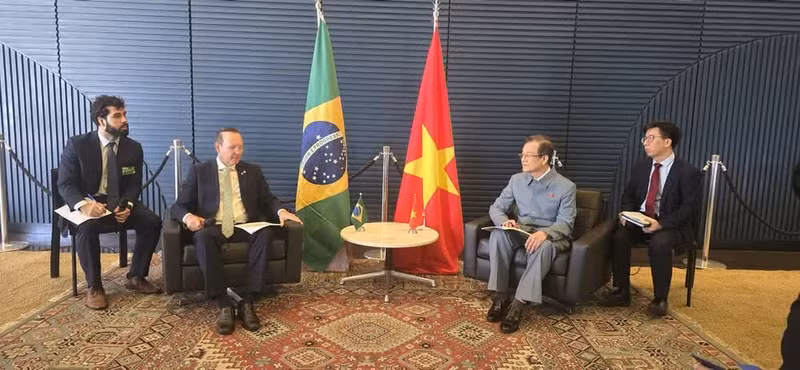 Le Hong Quang, Member of the PCC and Vice Chairman of the PCC’s Commission for Internal Affairs the Brazil-Viet Nam Parliamentary Friendship Group. (Photo courtesy of the PCC’s Commission for Internal Affairs)