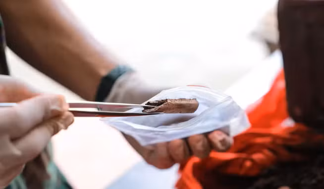Checking a DNA sample (Photo: VNA)