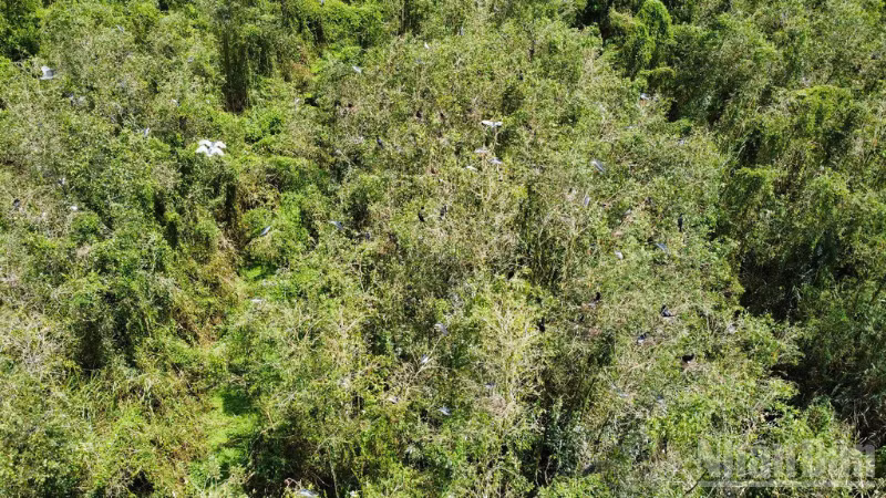 The Spring Ecotourism Area seen from above, with a large and pristine green space.