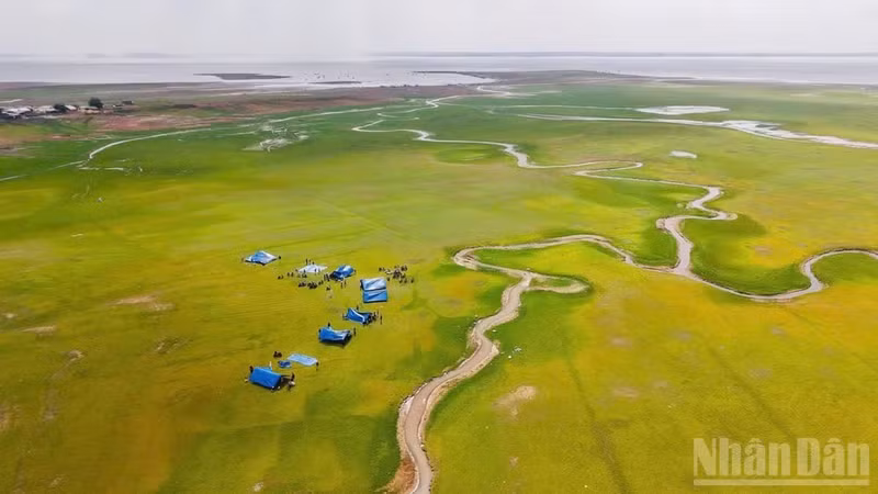 A peaceful scene in the new-style rural area of Thong Nhat Commune during the low-water season at Tri An Reservoir. (Photo: THIEN VUONG)
