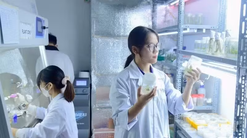 Research conducted at the University of Science and Technology of Hanoi (USTH). (Illustrative image: TL)