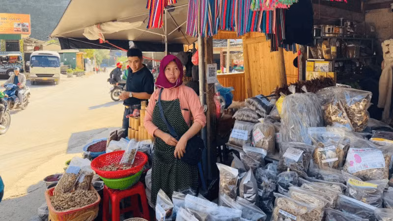 Local experiential services are shaping Vietnam's tourism identity.