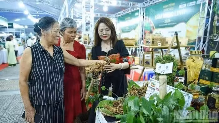 Bringing Ngoc Linh Ginseng closer to consumers.
