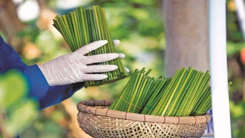 Viet Nam seeks solutions to promote green and sustainable marketing and consumption
