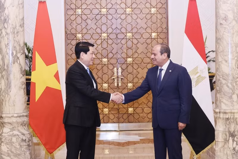 State President Luong Cuong (L) and Egyptian President Abdel Fattah El‑Sisi in Cairo on August 5. (Photo: VNA)