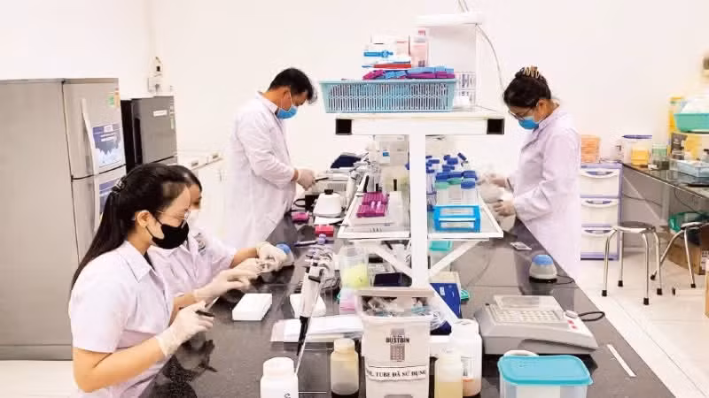 Research on genetic technology at Phu Sa Gernomics Joint Stock Company, Can Tho City.