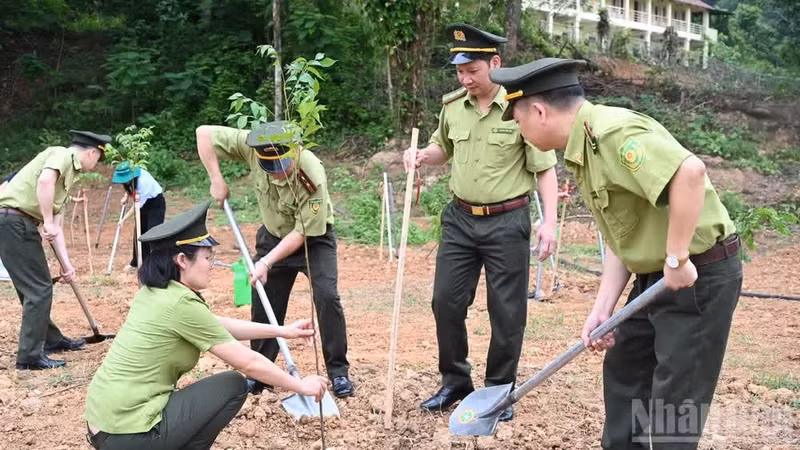Tree planting in response to World Day to Combat Desertification and Drought 2026.