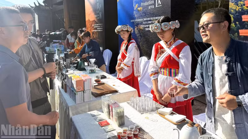 Exhibition on coffee at the 2nd Jade Dragon Snow Mountain Coffee Festival.