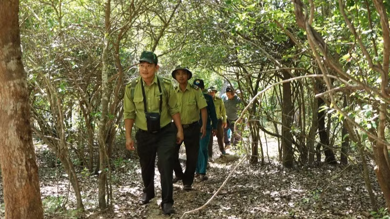 The patrol team makes its way across rocky slopes, pushes through thorny bushes and follows every unusual trace deep in the forest. (Photo: NGUYEN TRUNG)