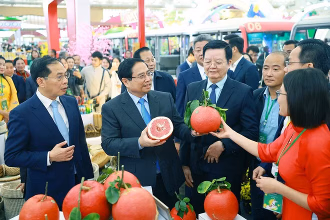 vna-potal-thu-tuong-du-le-khai-mac-hoi-cho-mua-xuan-lan-thu-nhat-nam-2026-8567698.jpg