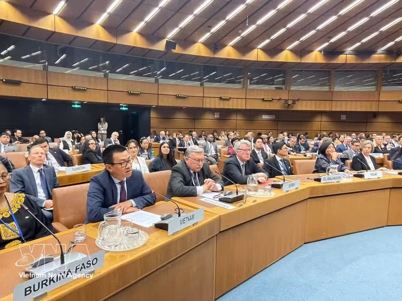 Ambassador Vu Le Thai Hoang, Permanent Representative of Viet Nam to the United Nations and other international organisations in Vienna (Austria), speaks at the event (Photo: VNA)