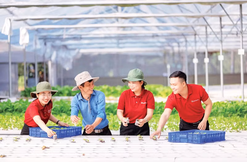 Businesses seeking to participate more deeply in value chains have a strong need for medium- and long-term capital. (Photo: KHANH ANH)