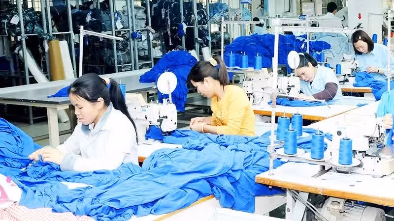 Textile and garment companies with a high proportion of cotton imports from the US, such as TCM, ADS, and Vinatex, stand to benefit. Photo: SONG ANH