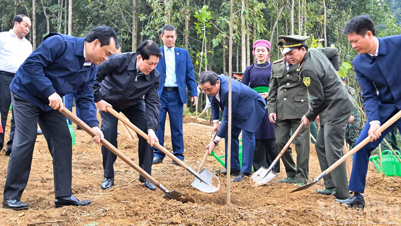 230226-ctn-trong-cay.jpg