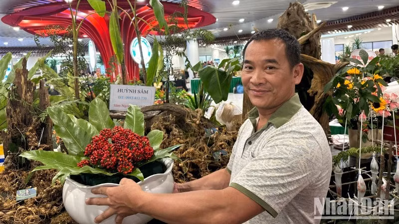 More than 80 booths serve residents and visitors at the Ngoc Linh Ginseng and Medicinal Herbs Exhibition Space in APEC Park. (Photo: Anh Dao)