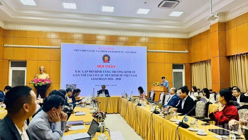 The workshop held in Ha Noi on December 10. (Photo: HNV)