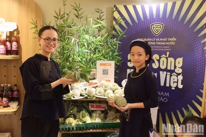 After being granted protection for the “Lang Son” geographical indication in 2024, the product gains an additional advantage in promotion, market outreach, and market linkages. (Photo: Market Surveillance Agency)