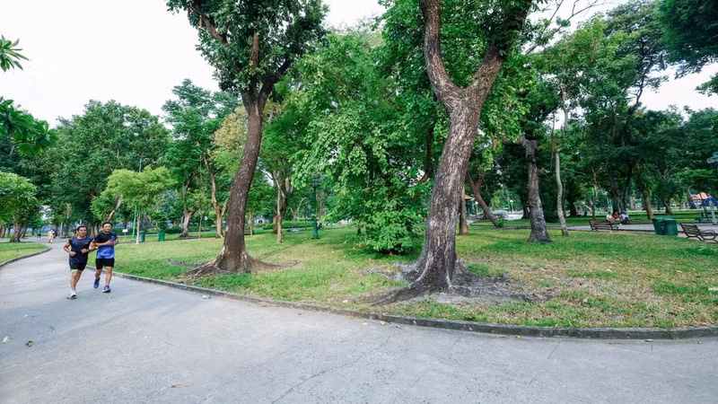 Le Van Tam Park, where an underground car park could be developed to create additional space for development and enhance the city's infrastructure capacity. (Photo: THE ANH)