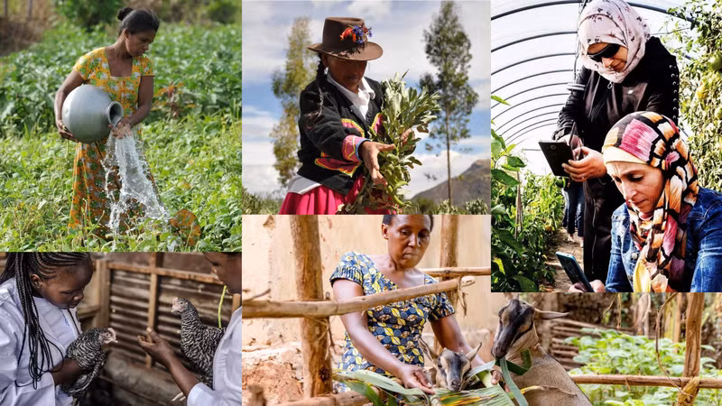 Rural women around the world are increasingly asserting their role and status. (Photos: FAO, UN Women, JP RWEE, UNDP)