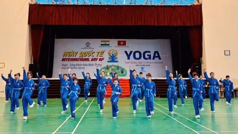 A mass Vovinam martial arts performance, one of the highlights of the festival.