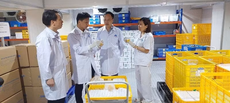 CEO Nguyen Van Diep inspects the AVAC ASF LIVE vaccine batch prepared for export.