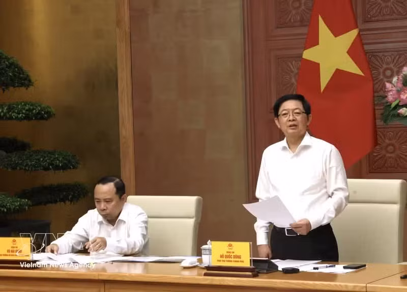 Deputy Prime Minister Ho Quoc Dung speaks at the meeting. (Photo: VNA)