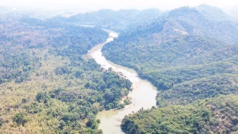 The pristine beauty of the Cat Tien National Park Biosphere Reserve.