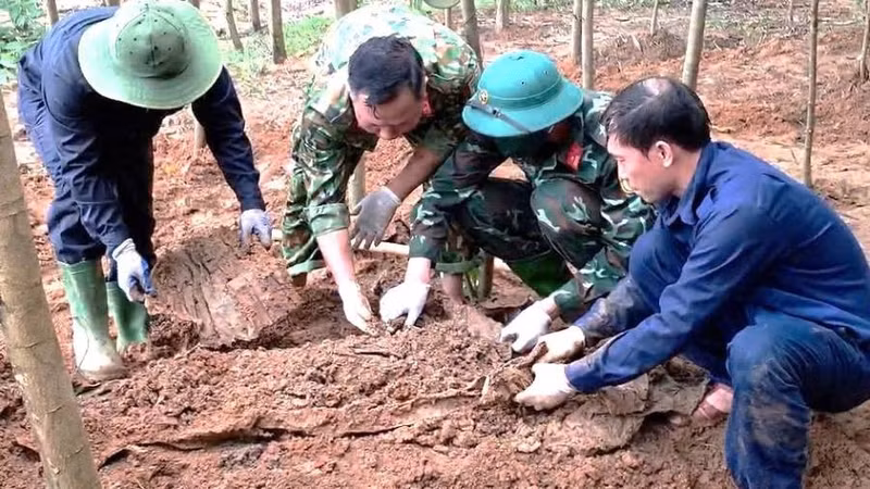 Political Division under the Quang Tri Provincial Military Command searches for and retrieves martyrs' remains in Bai Dinh Village, Dan Hoa Commune. (Photo: QS)
