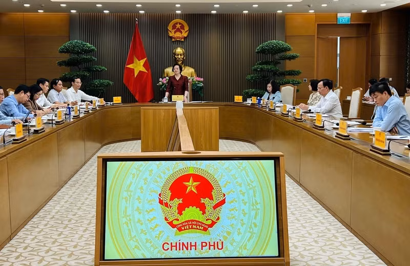 Deputy Prime Minister Pham Thi Thanh Tra speaks at the conference. (Photo: VOV)