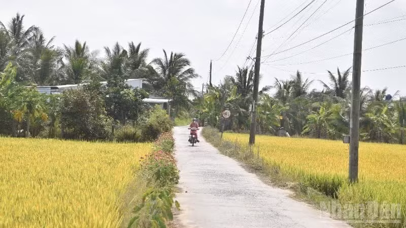 Rural areas should truly become places where farmers can make a living on their own land.