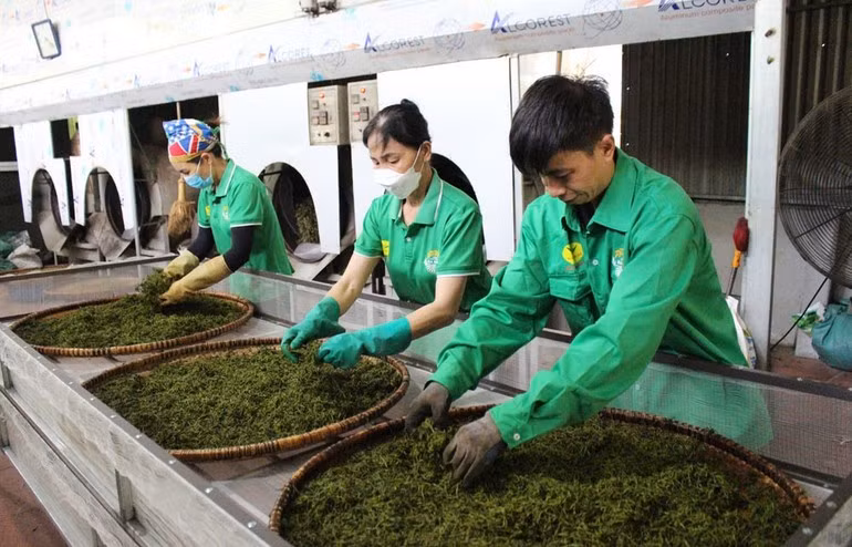 Domestic market — a “launchpad” to accelerate Vietnamese goods