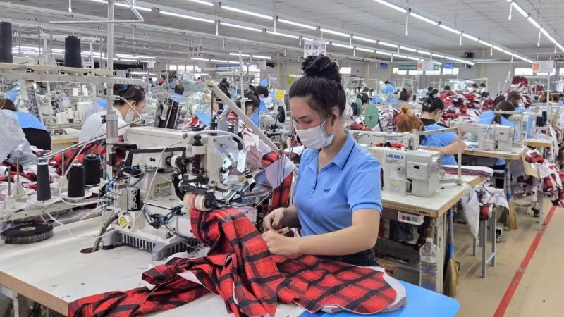 Export garment production at the Hoa Tho garment factory (Quang Ngai)
