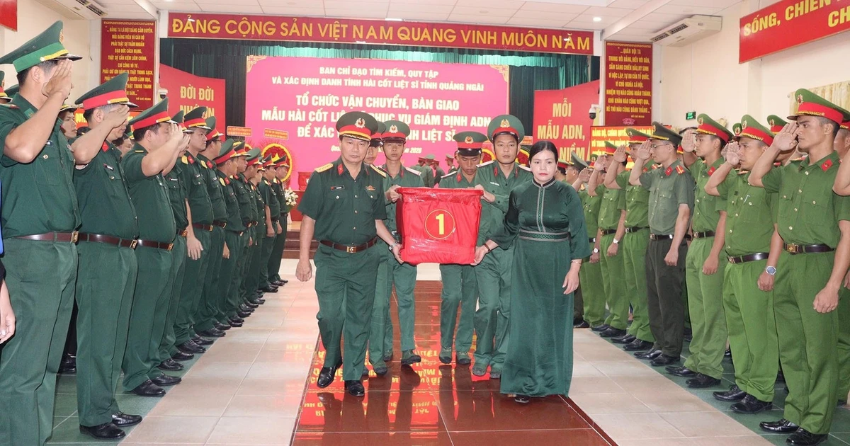 Infographic Learning Events Quang Ngai hands over 2,219 remains samples for DNA identification