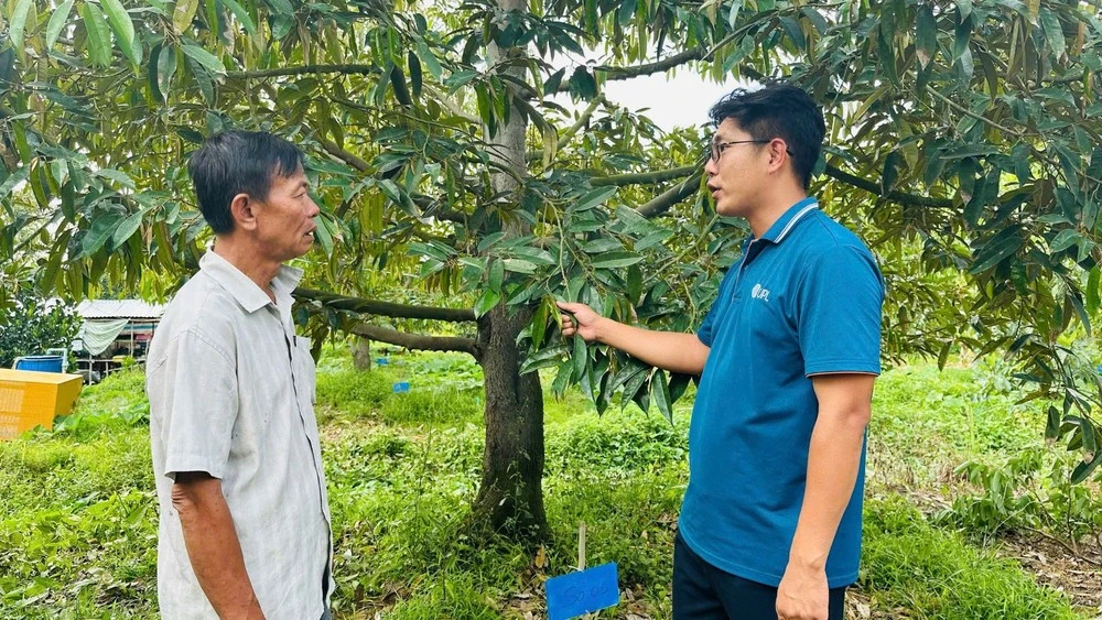 Towards integrated and sustainable management strategy for agricultural products
